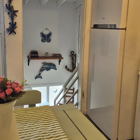 Kelebek Ayvalık Ayvalı