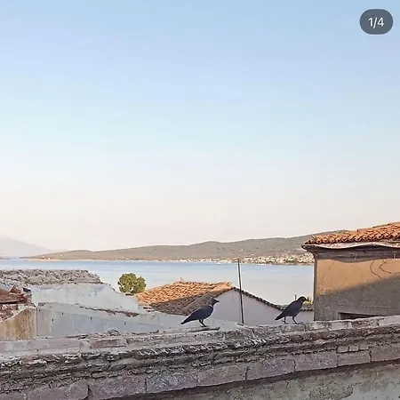 Kelebek Ayvalık